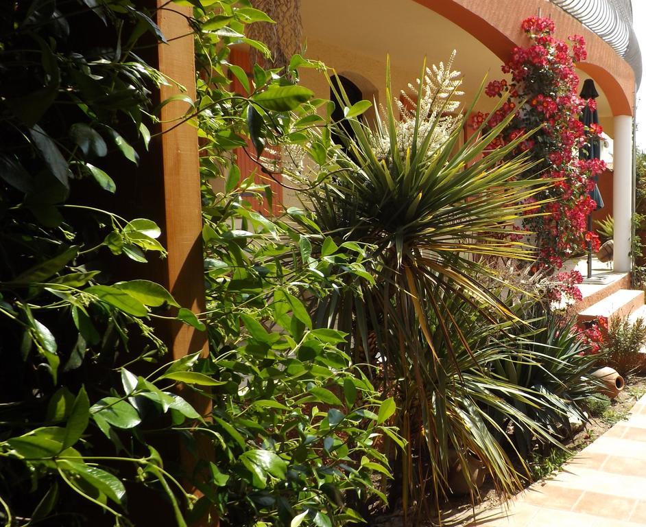 La Gentoliere Bed & Breakfast Pollestres Екстериор снимка